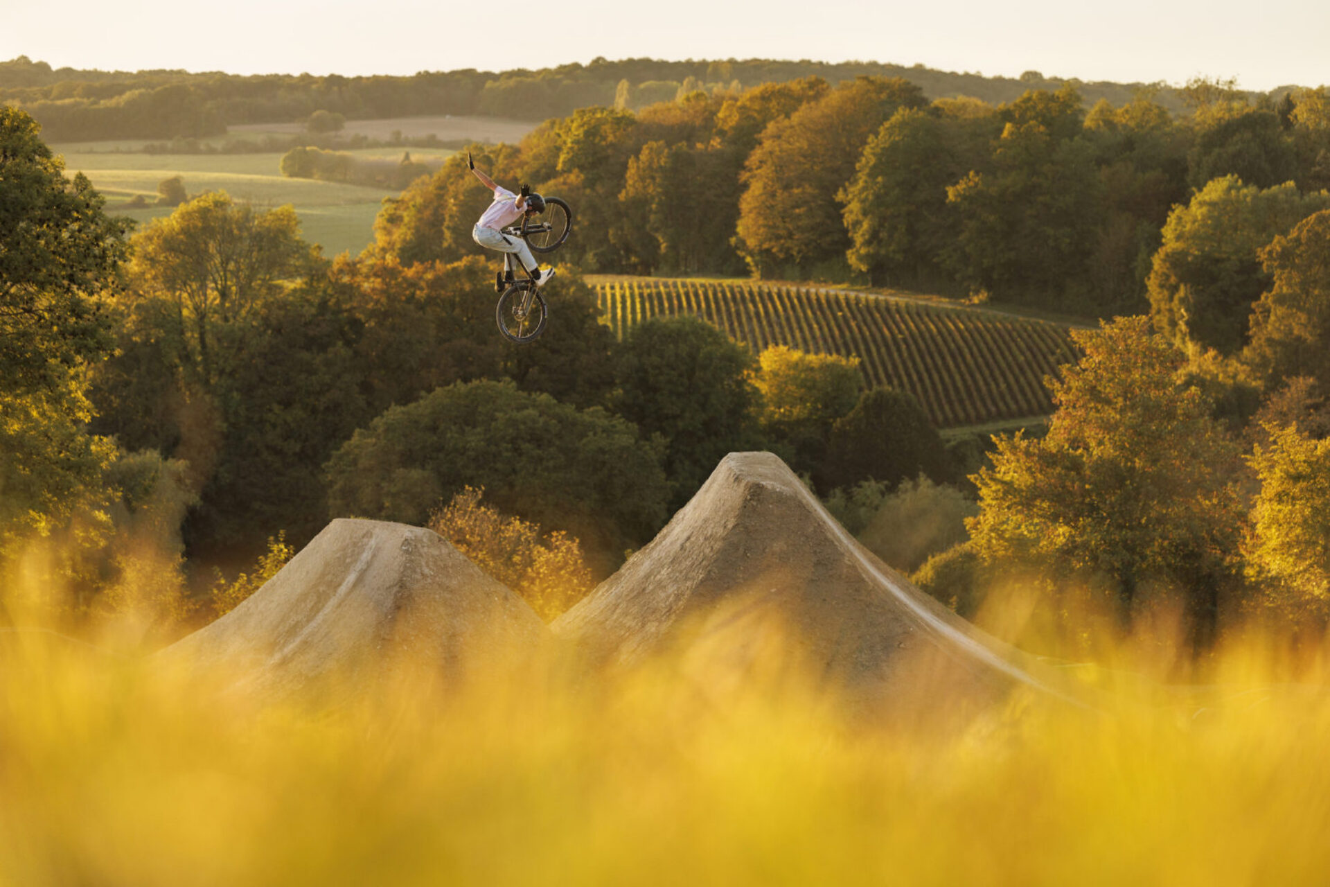Champagne, photographie de Jean-Baptiste Liautard