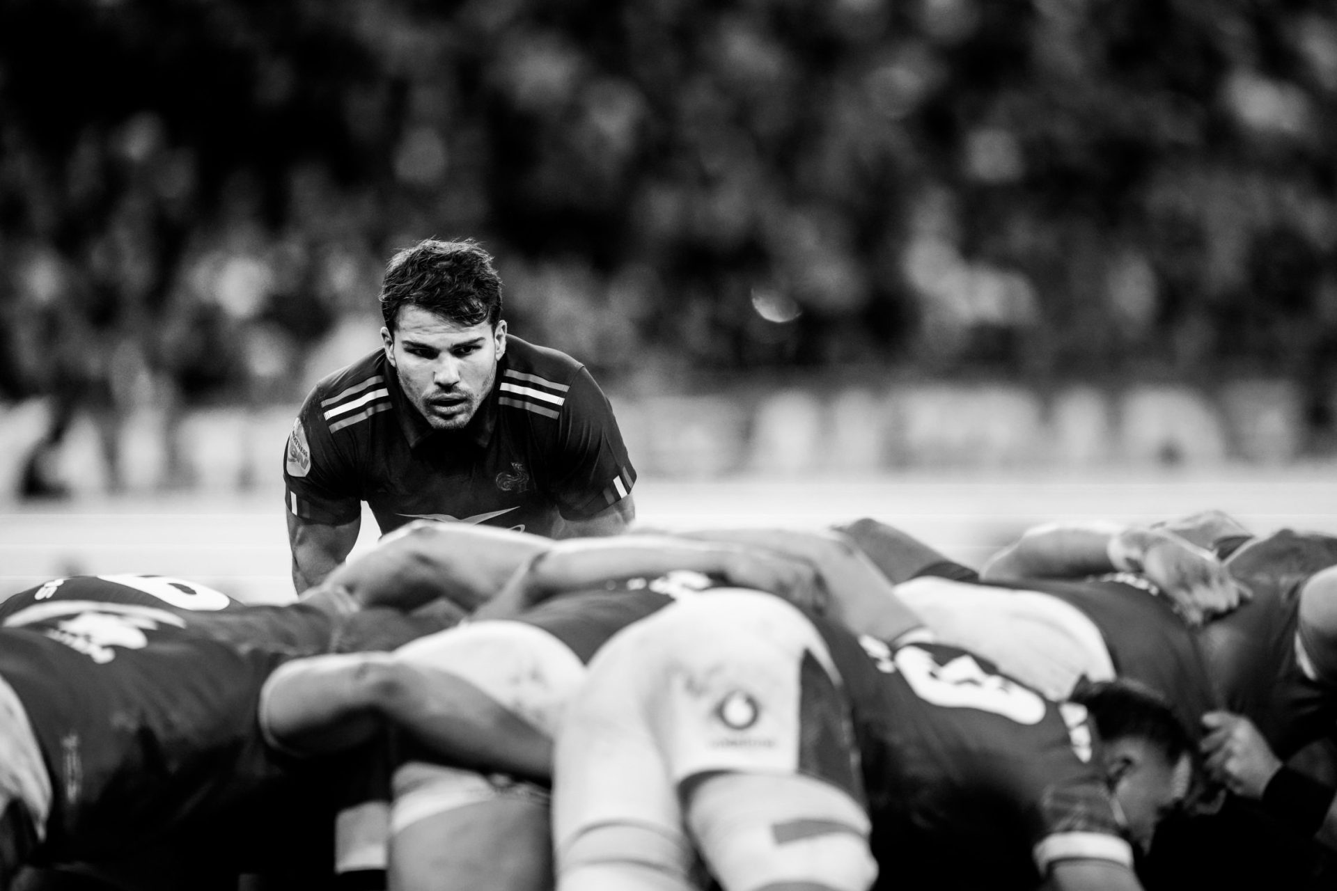 Antoine Dupont (2), photographie de Julien Poupart
